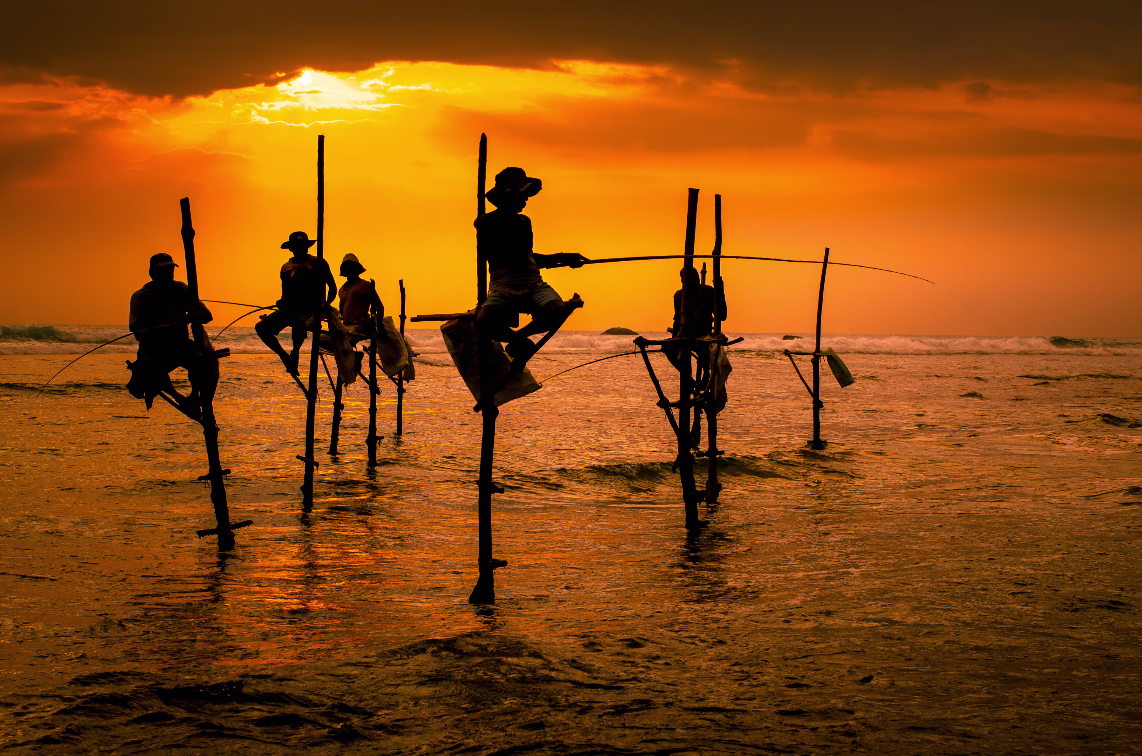 Stilt Fishermen in Sri Lanka